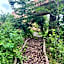 Wald ist Zukunft