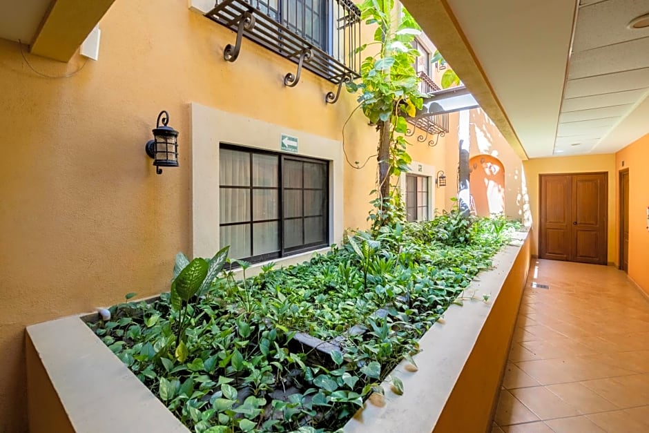 HOTEL COLLI