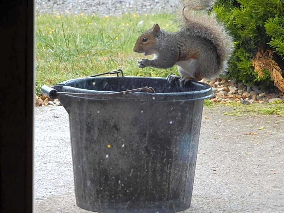 Balmoral Studio Lodge