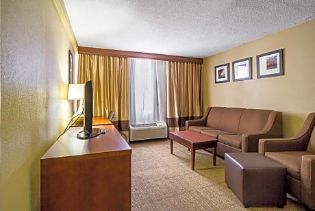 Deluxe King Suite