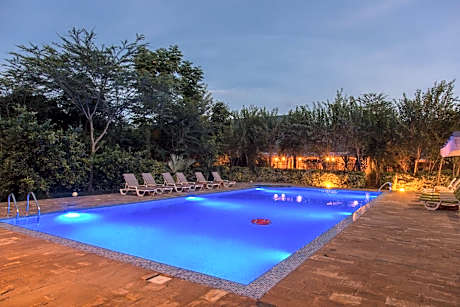 Airport Planet Lodge