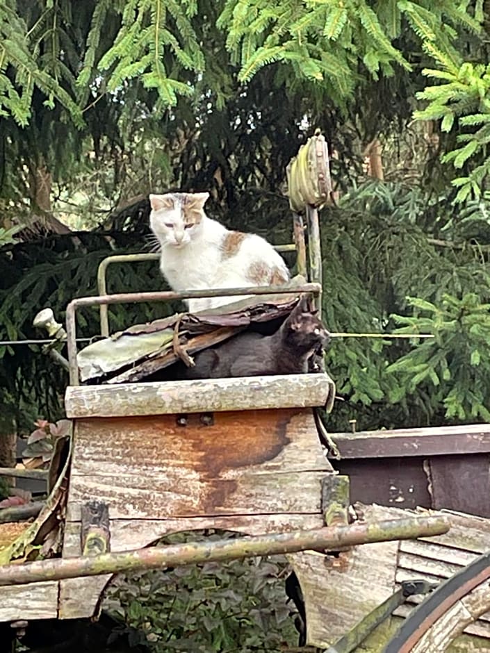 Agroturystyka Hanka i Jurek