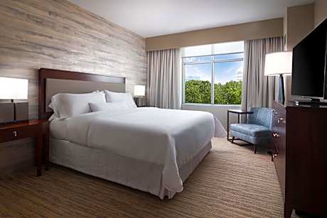 Guest Room, 1 King