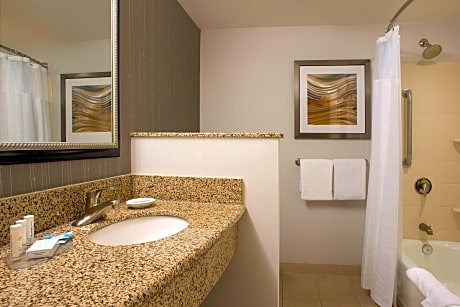 Studio, 1 King Bed with Sofa bed (1 King Bed and 1 Double Sofa Bed)