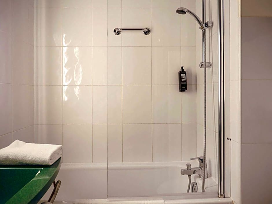 Ibis Arles
