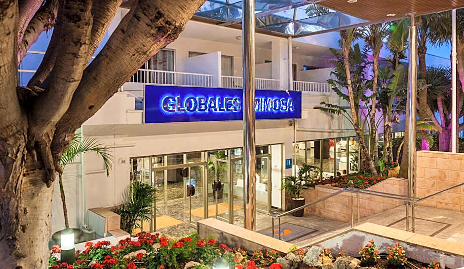 Globales Mimosa
