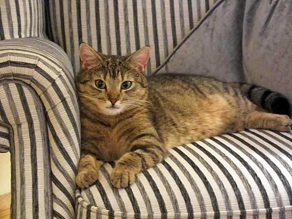 Crowfield Country House