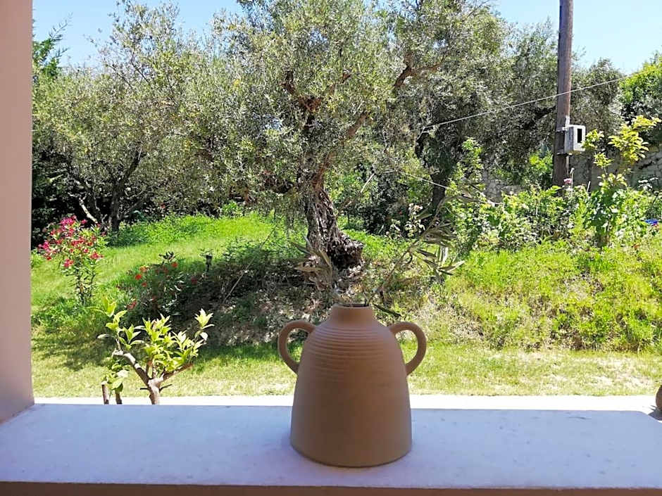 Nissi Collection Rooms