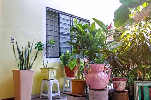 Posada Lupita