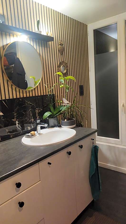 Chambrecosy salle de bain privée