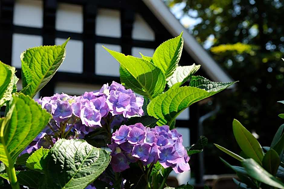 VILA VITA Burghotel Dinklage