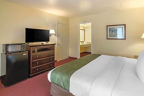 Standard Room, 1 King Bed, Accessible Roll-In Shower, Non Smoking