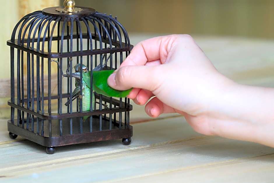 Shangshan Hotel Leshan