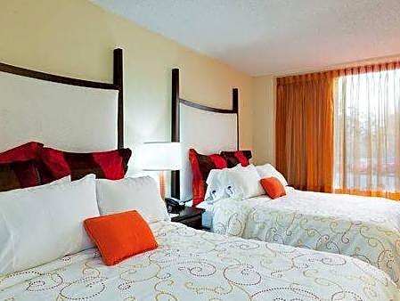 Deluxe Suite Double Bed