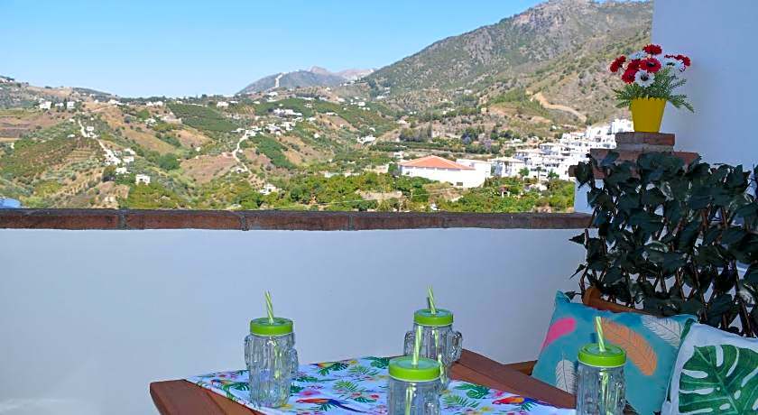 OLIVO 15E - Terraza y vistas