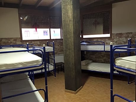 Bunk Bed in 10- Bed Mixed Dormitory Room