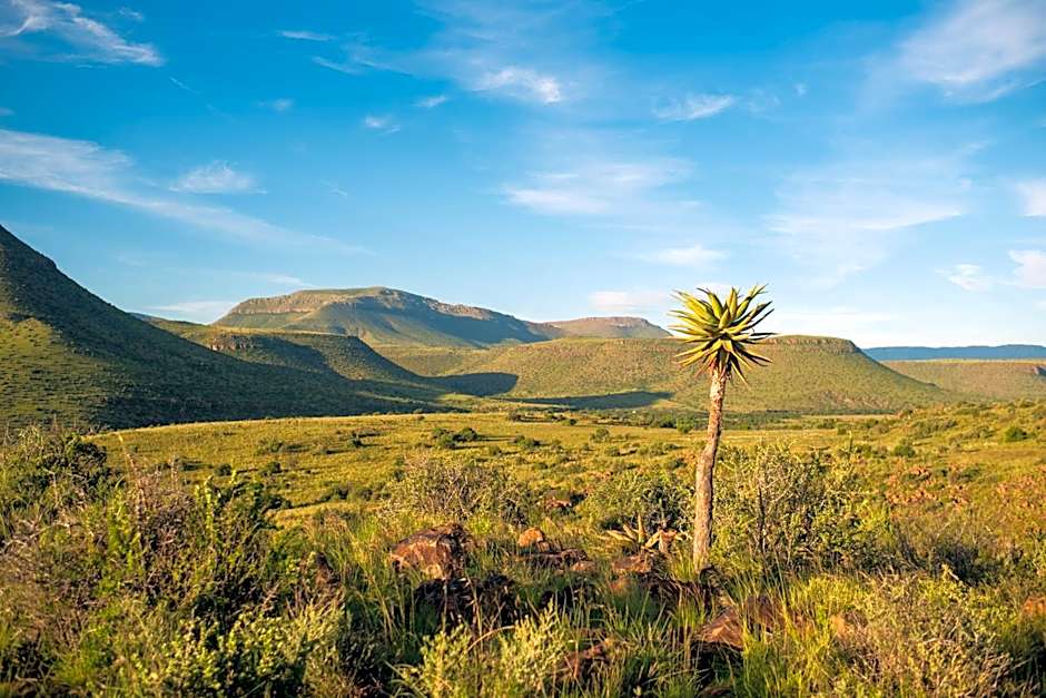 Glen Harry Game Reserve