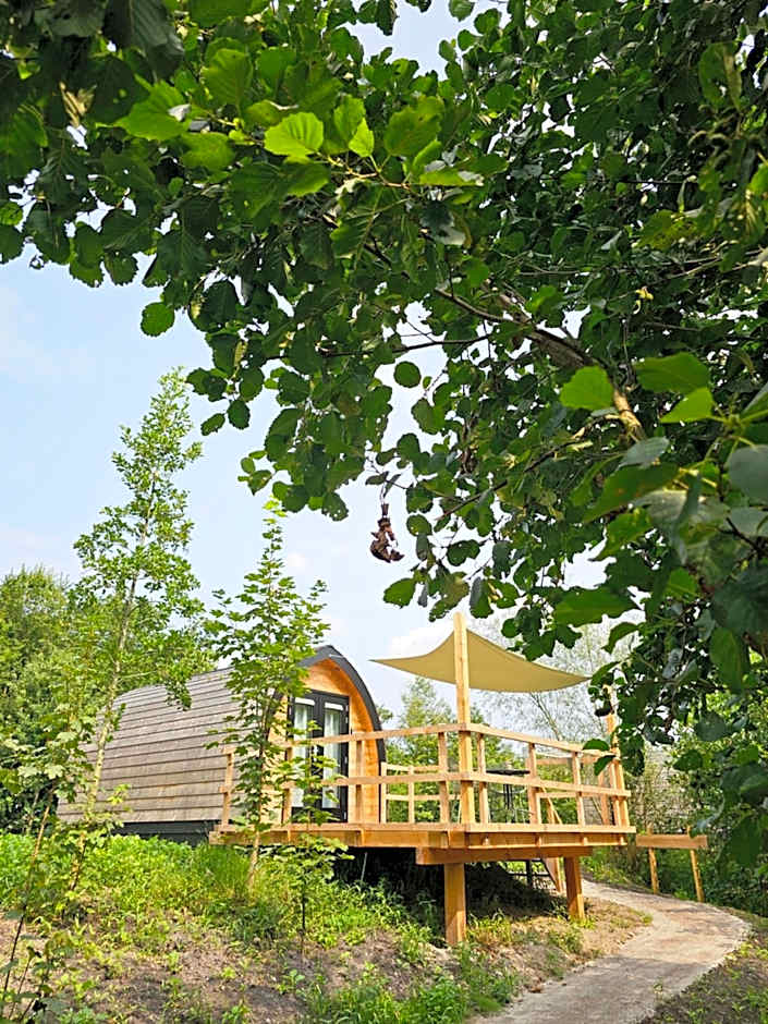 Tiny House De Piiptsjilling