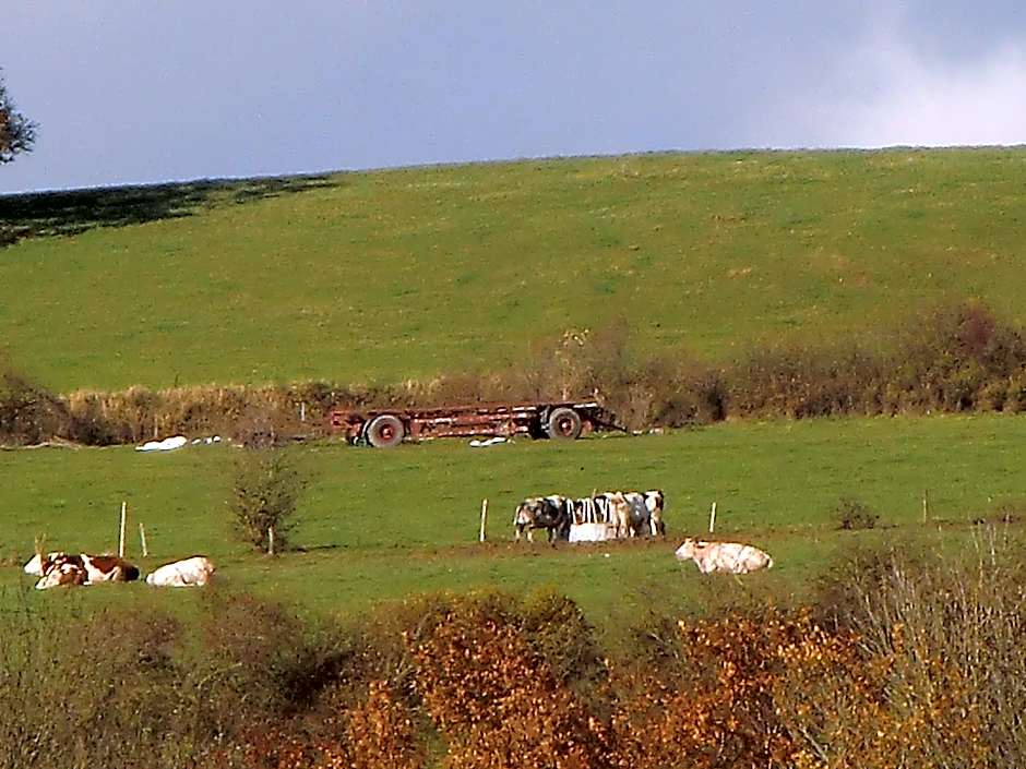 B&B Au Coeur de Villers