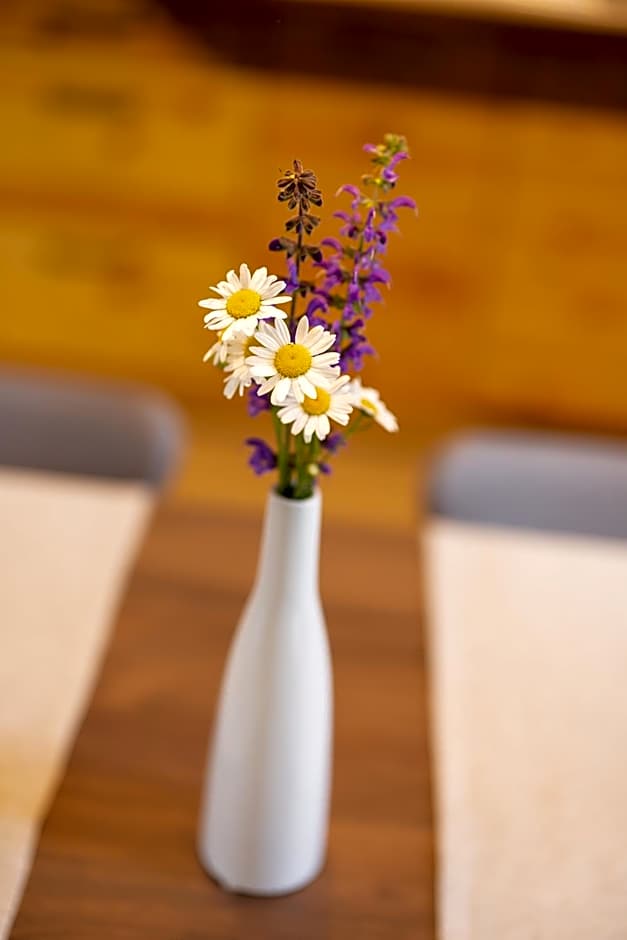 PRIVILLAGE Stare - B&B