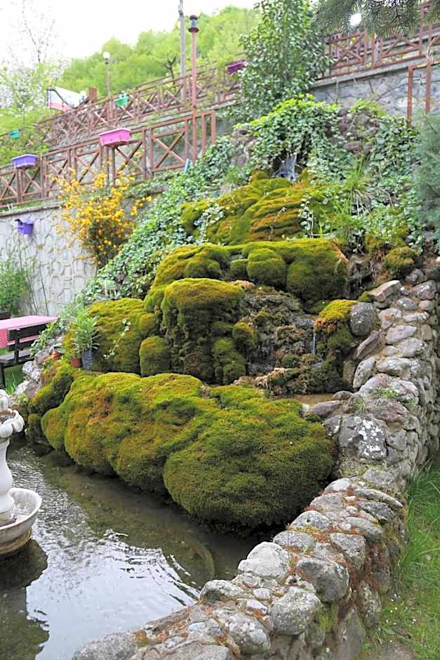 ABANT DORT MEVSİM KONAĞI HOSTEL