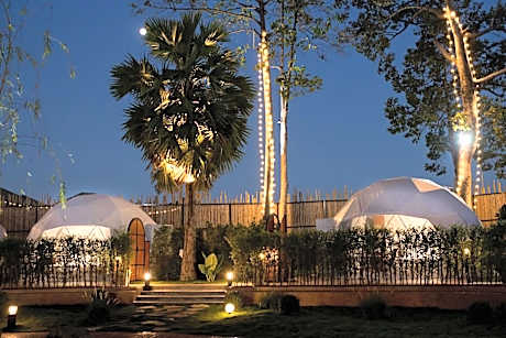 papa q suite resorts