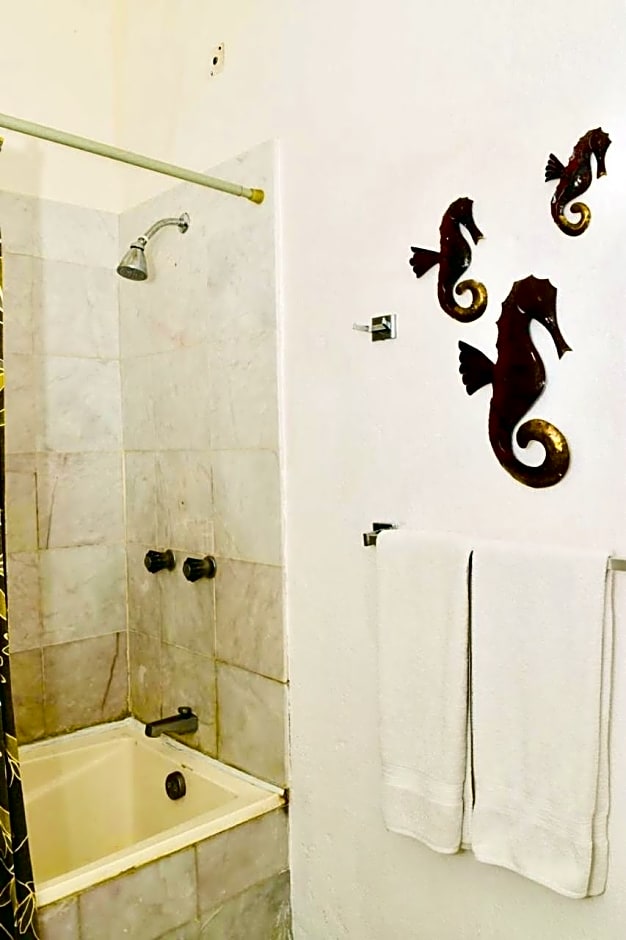 HAB PTa B ÁREA DE VILLAS DENTRO DEL HOTEL Junto al Krystal EN IXTAPA WIFI 2A 1M Con playa