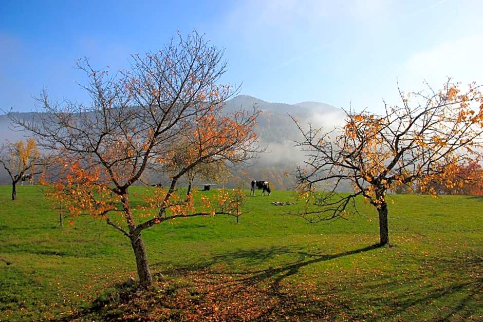 La Colline Du Baa - Maison d'hôtes d'exception