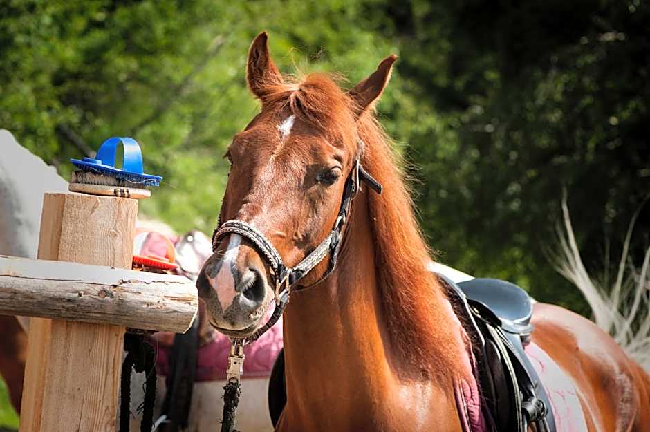 Herol - my mountain retreat