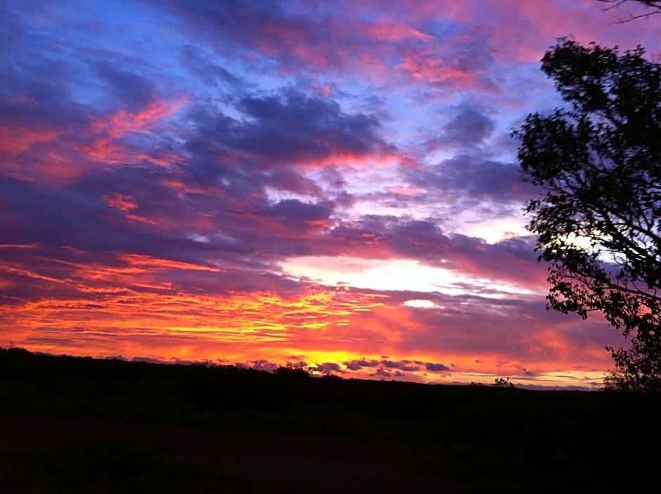 Chiswick Riviera with free parking