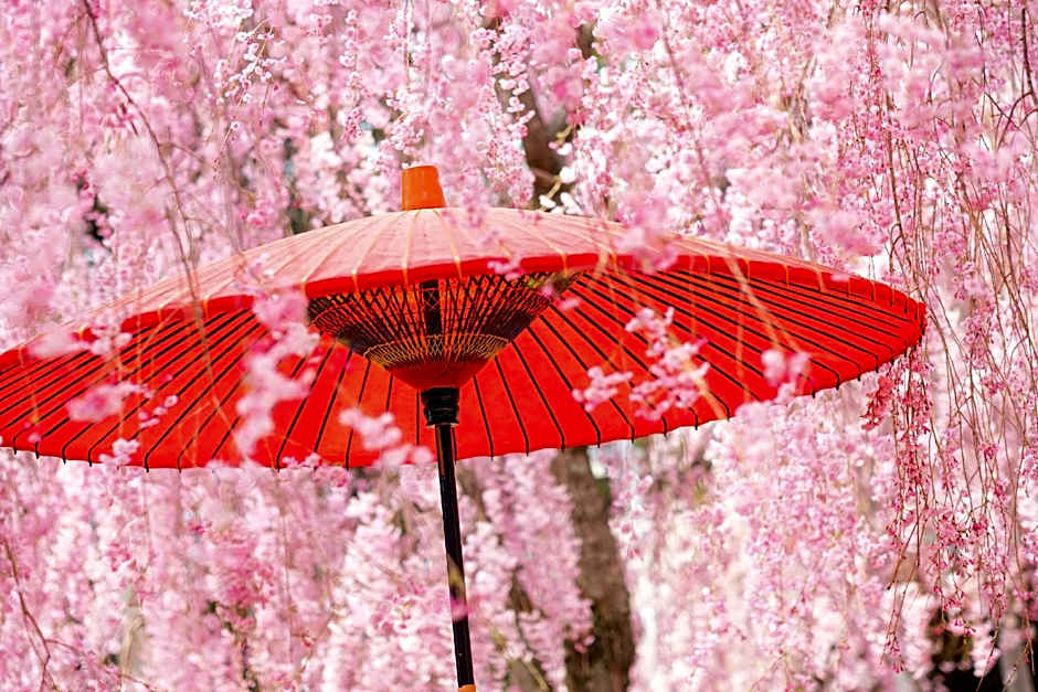 Comfort Inn Kyoto Shijokarasuma