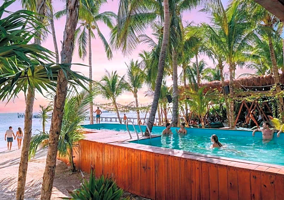 Mayan Monkey Isla Mujeres - Social Hotel