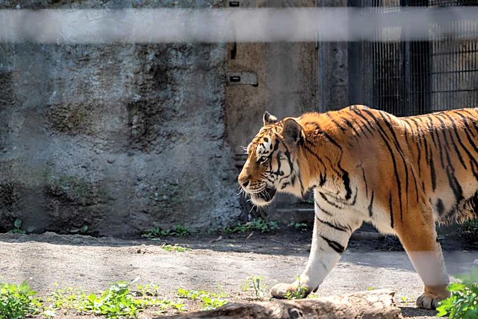 Play Ground BASE -higashikawa-