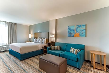 1 Bedroom Suite, 1 King Bed with Sofa bed, Non-Smoking