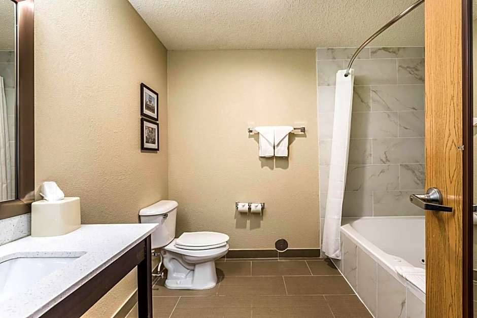 Comfort Inn Detroit Downtown