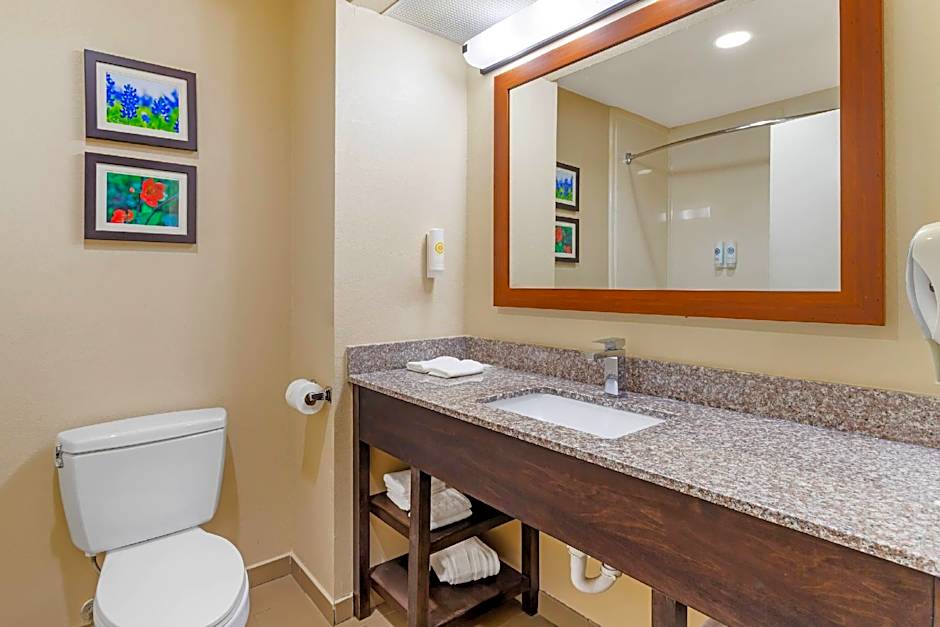 Comfort Suites Deer Park