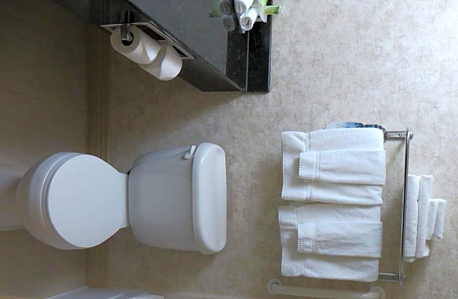 Holiday Inn Express Hotel & Suites Kansas City Sports Complex By IHG