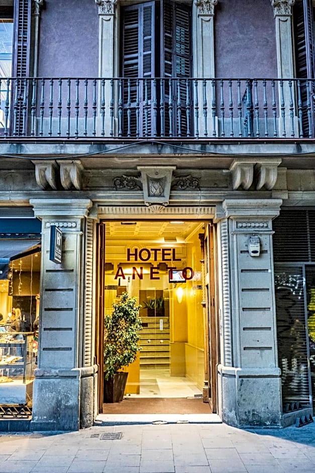 Aneto Hotel
