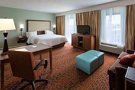 1 King Microwv/Fridge/Wet Bar Studio Suite Ns