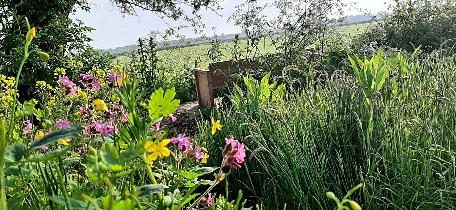 Het Bijenweitje - The Little Bee Meadow