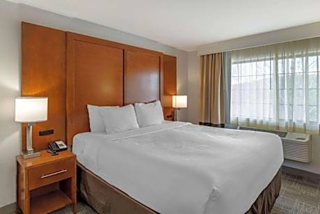 1 King Bed, Suite, Nonsmoking