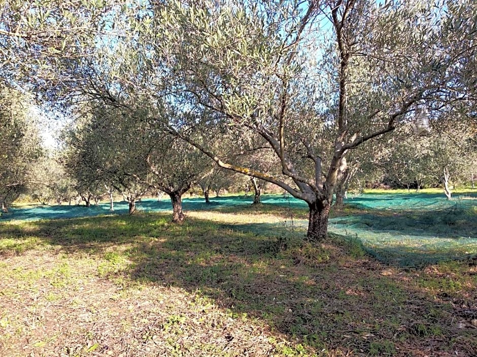 Le rocher de Sampzon