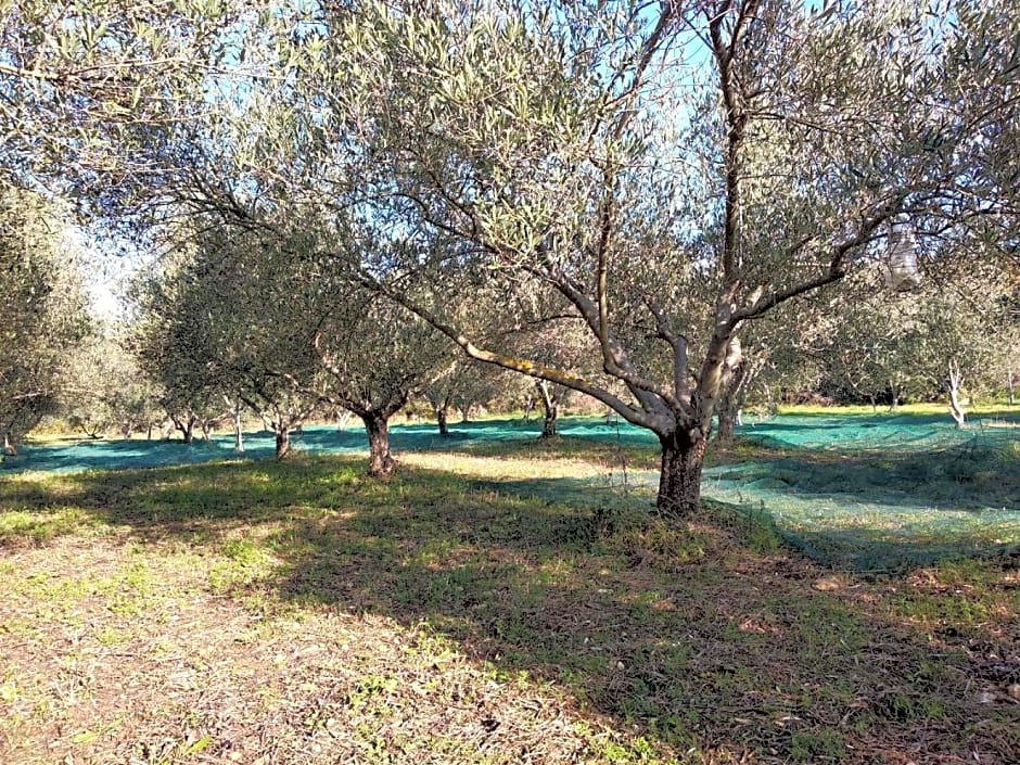 le rocher de Sampzon