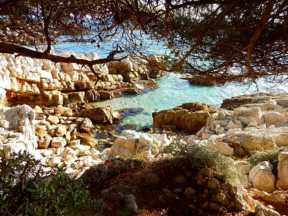 Hotel Miramar- Cap d'Antibes - La Garoupe plage