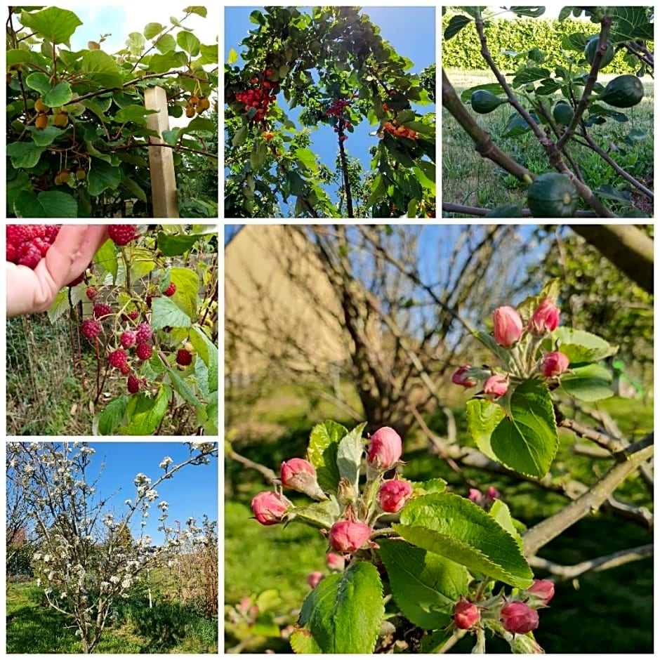 Les Douces Heures de Béa