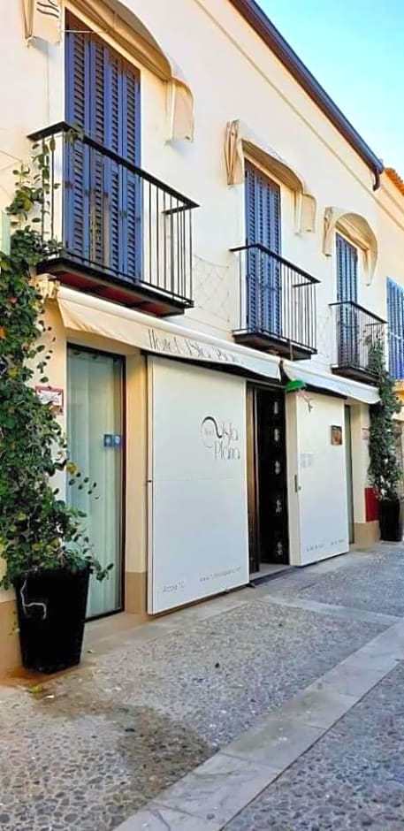 HOTEL ISLA PLANA