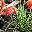 ibis Brignoles Provence Verte