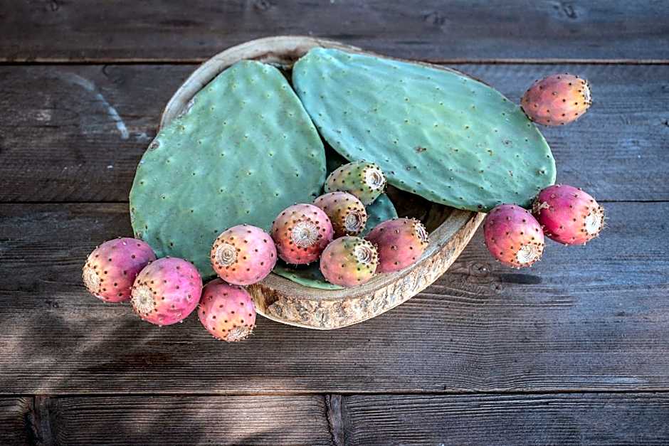 Trulli Mest'Andrea alle lame