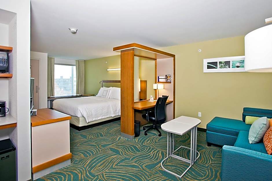 SpringHill Suites by Marriott Mobile