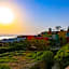 Bedouin Garden Village